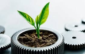 Impacto Ambiental